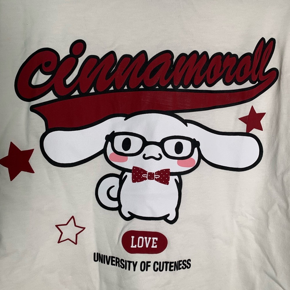 ZARA KIDS NWT K CINNAMOROLL © SANRIO T-SHIRT
SIZE 12-13